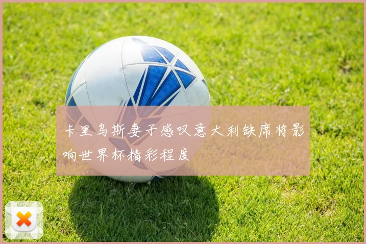 卡里乌斯妻子感叹意大利缺席将影响世界杯精彩程度
